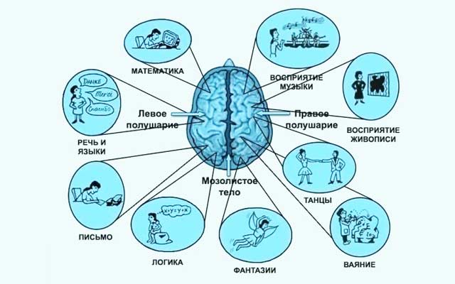 Развитие логики или творчества